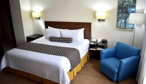 Standard Room, 1 King Bed, Non Smoking