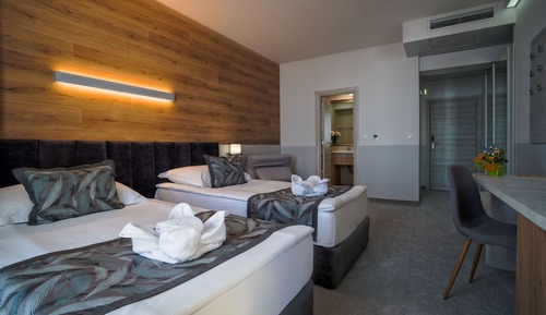 Double or Twin Room, Balcony, Park View