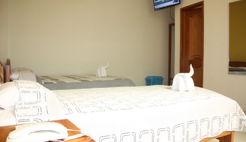 Twin Room, Garden View