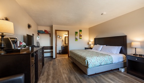 Room, 1 King Bed