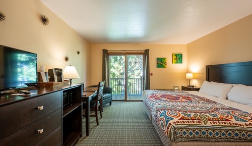 Room, 1 King Bed (Back)