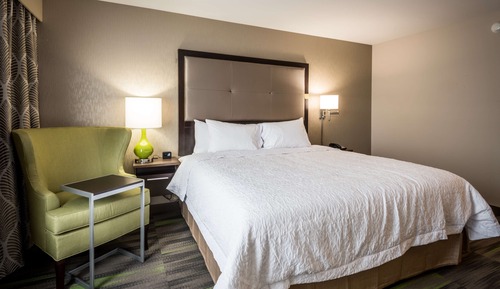 Room, 1 King Bed, Accessible, Non Smoking (Roll In Shower)