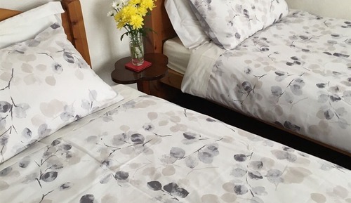 Twin Room, Ensuite