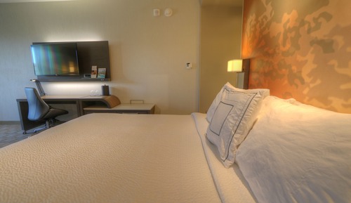 Room, 1 King Bed with Sofa bed, Non Smoking, Mountain View (Mobility/Hearing Access, Roll-in Shwr)
