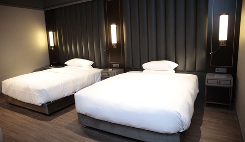 Room, Multiple Beds
