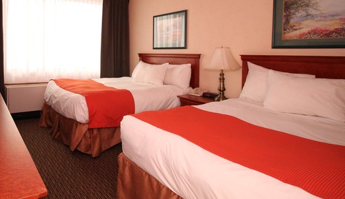 Standard Room, 2 Double Beds