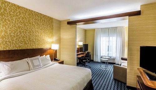 Suite, 1 King Bed with Sofa bed