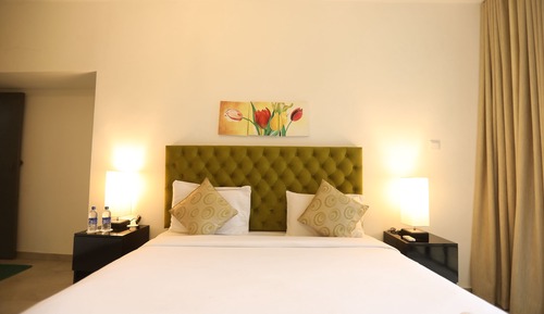 Standard Room, Mountain View