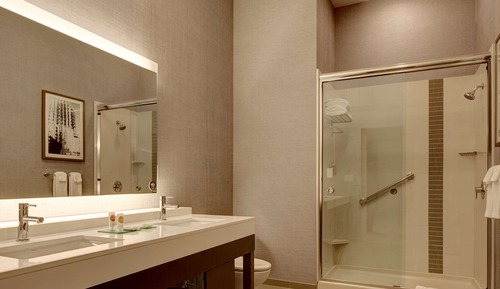 Suite, 1 King Bed with Sofa bed