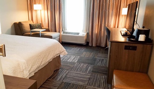 Room, 1 King Bed, Non Smoking, Refrigerator & Microwave