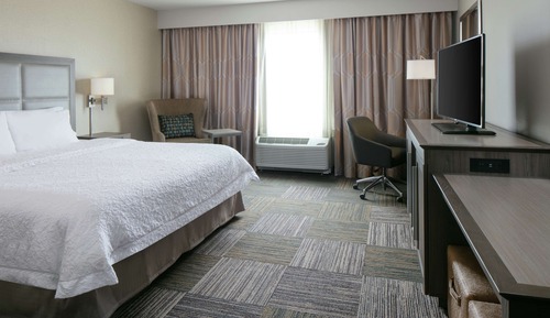 Room, 1 King Bed with Sofa bed, Accessible, Bathtub
