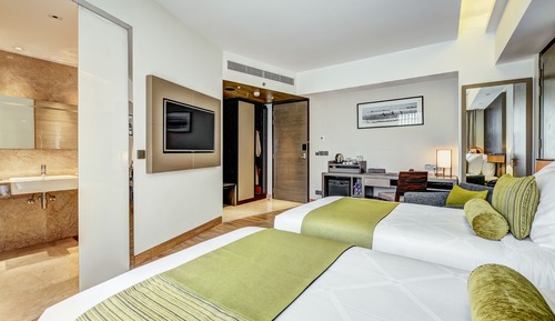 Executive Twin Room, 2 Twin Beds, Accessible, Smoking
