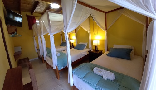 Triple Room, Terrace, Pool View