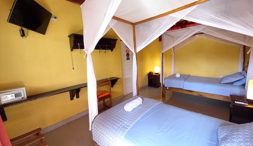 Twin Room, Terrace, Pool View