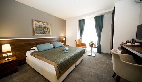 Deluxe Single Room