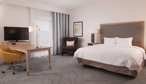Studio, 1 King Bed, Accessible, Bathtub (Mobility & Hearing)