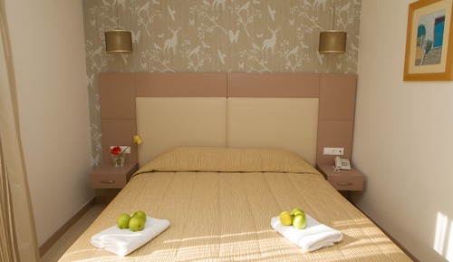 Double Room Single Use