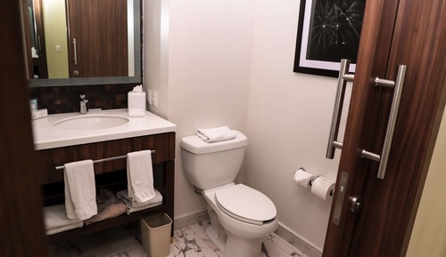 Room, 1 Queen Bed, Accessible, Non Smoking (Roll-in Shower)