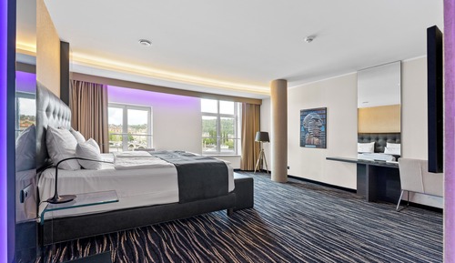 Deluxe Double or Twin Room with City View