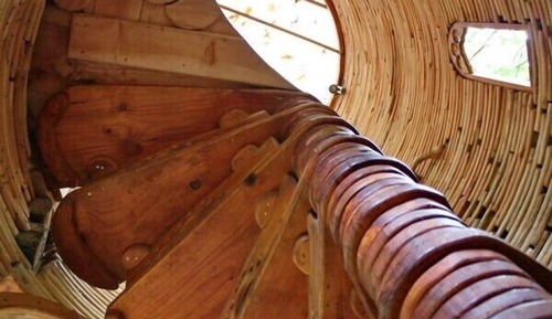 Pegasus Treehouse