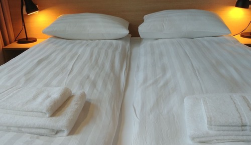 Basic Double Room