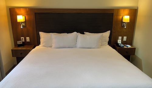 Suite, 1 King Bed