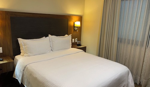 Suite, 1 Queen Bed