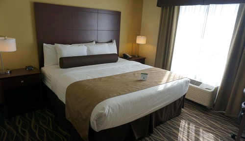 Room, 1 King Bed, Non Smoking