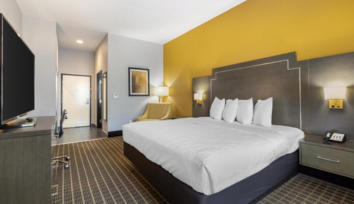 Standard Room, 1 King Bed, Non Smoking, Refrigerator & Microwave (Shower Only)