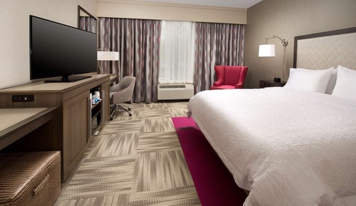 Room, 1 King Bed, Accessible, Non Smoking (Roll-in Shower)
