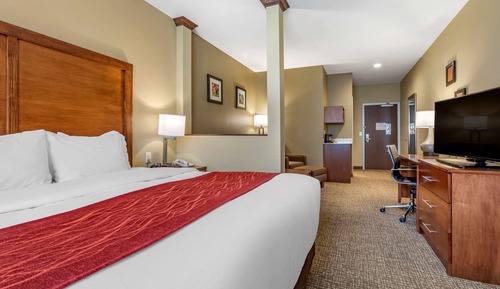 Suite, 1 King Bed with Sofa bed, Non Smoking (2 Person Sofa Bed)