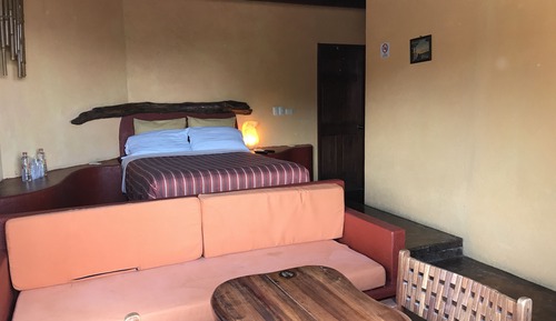 Superior Room, Lake View, Poolside