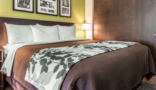 Room, 1 King Bed, Accessible, Non Smoking