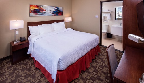 Suite, 1 King Bed