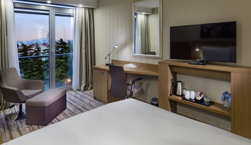 Room, 1 Queen Bed, Non Smoking, Refrigerator