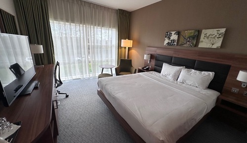 Room, 1 King Bed