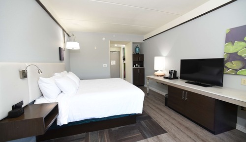 Room, 1 King Bed, Accessible (Roll-In Shower)