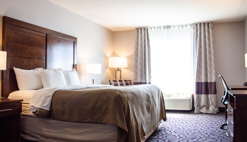 Standard Room, 1 King Bed, Non Smoking