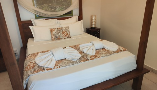 Premium Suite, 1 Bedroom, Hot Tub (Suite Terre: Venus)