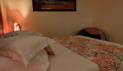 Premium Suite, 1 Bedroom, Hot Tub (Suite Feu: Passion)