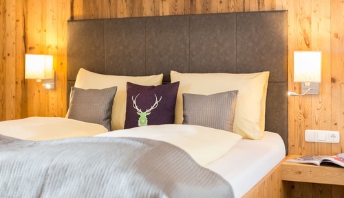 Deluxe Apartment, 2 Bedrooms (Wilderer 80 EUR cleaning fee-not incl)