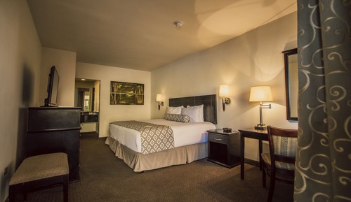 Single Room, 1 King Bed