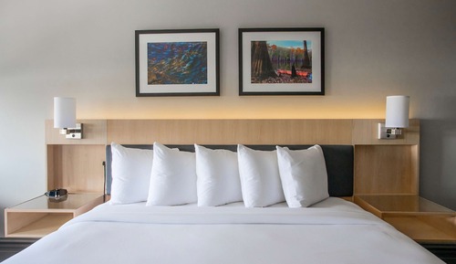 Deluxe Room, 1 King Bed