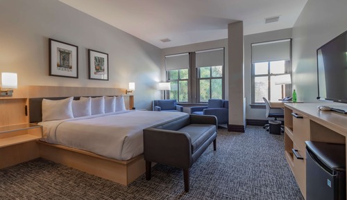 Room, 1 King Bed