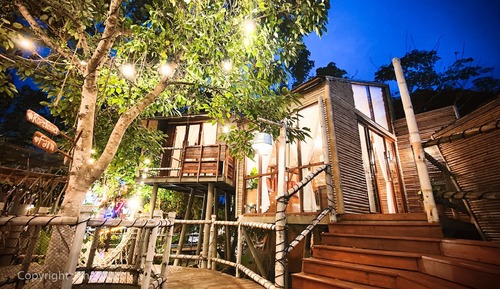 Tree House
