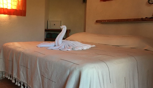 Room, 1 King Bed