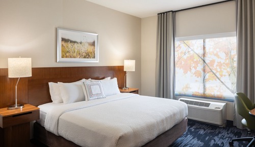 Room, 1 King Bed
