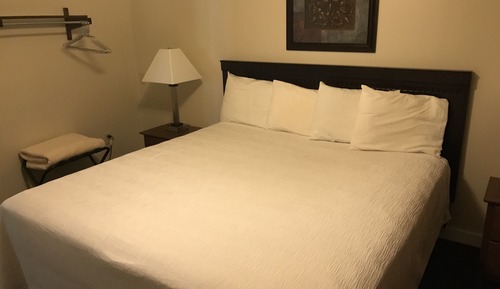 Mini Suite (Max 4 guests)
