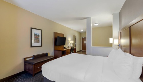 Suite, 1 King Bed with Sofa bed, Accessible, Non Smoking
