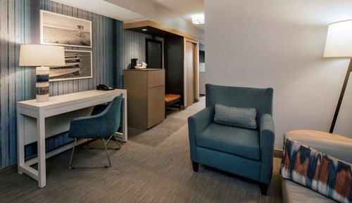 Family Studio Suite, Multiple Beds (1 King Bed, Sofa Bed and Trundle)